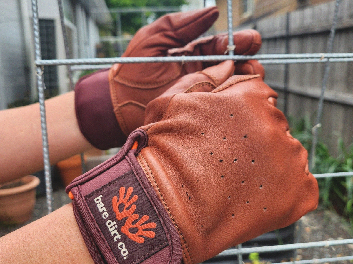 A close-up of a person's hands wearing brown leather gardening gloves with a burgundy wrist strap featuring the orange Bare Dirt Co. logo, set against a blurred outdoor garden background with a wire trellis.
