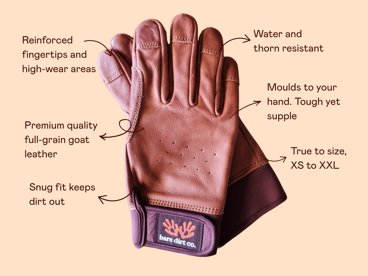 A brown leather work glove with callout lines and text labels highlighting features such as reinforced fingertips, water and thorn resistance, moulding to the hand, and a snug fit. The glove has a purple wrist cuff with the bare dirt co.