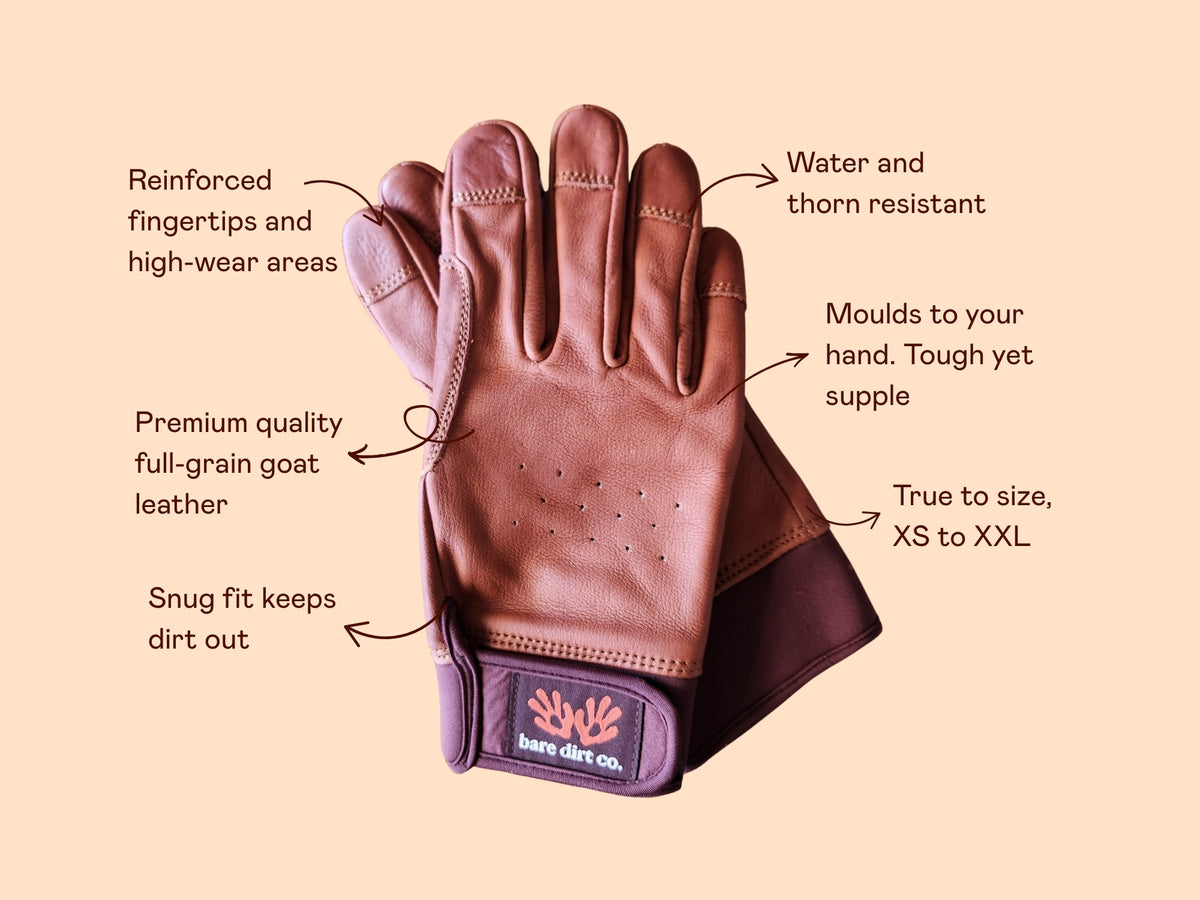A brown leather work glove with text callouts highlighting features like reinforced fingertips, water and thorn resistance, full-grain leather quality, and a snug fit, on a solid beige background.