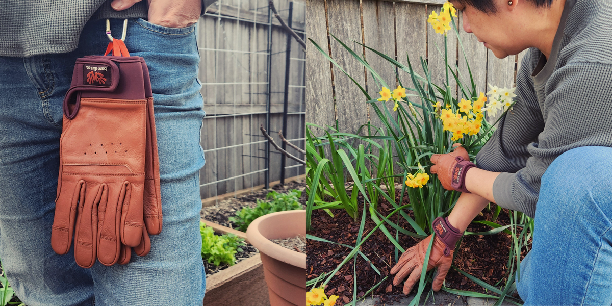 A split-screen lifestyle image showing a pair of brown leather gardening gloves hanging from a person's waist on the left, and a person gardening in a flower bed with yellow daffodils on the right. The gloves feature a dark brown cuff with a hook-and-loop strap and a small embroidered logo patch.